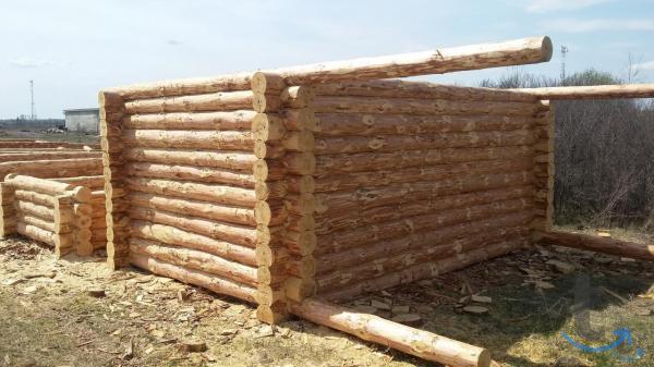 Срубы домов, бань, беседок из сосны с доставкой в Никольске