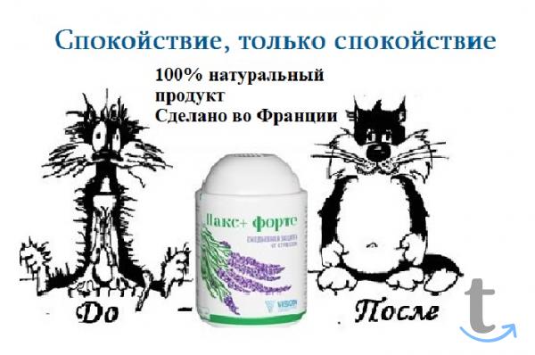 Успокаивающий нервы -Пакс+ от  Vision в Кургане