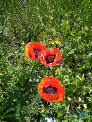 участок в Кировском районе Уфы в Уфе