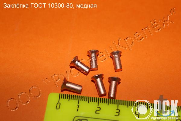 Заклепки из сплавов Л63, БрАЖ, М3 в Самаре