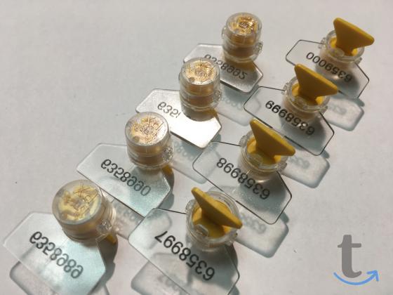 Объявление: Пломбы в Йошкар-Оле