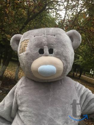 Объявление: ростовая кукла медведь тедди в Пензе