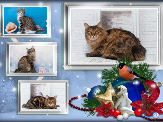 Объявление: Курильские подростки в Москве