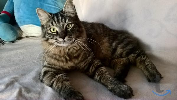 Объявление: Курильские подростки в Москве