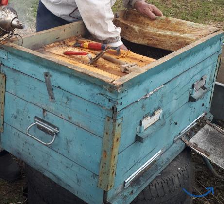 Объявление: Пчелы, пчелосемьи в Чебоксарах