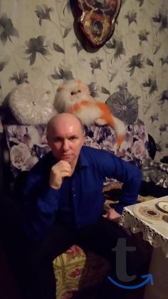 Ищу любую работу по выходным в Ивантеевке