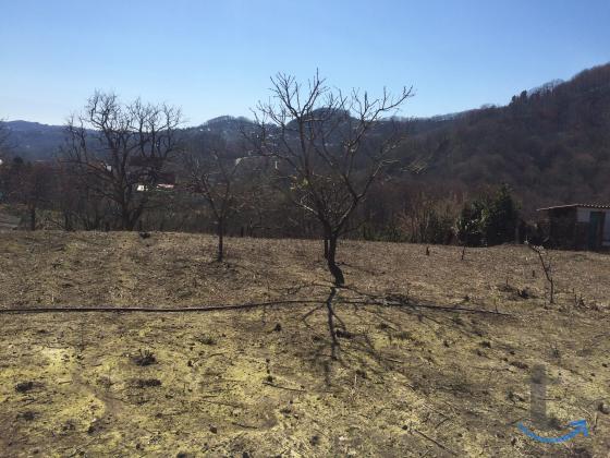 Продам участок в Разбитом Котле в Сочи