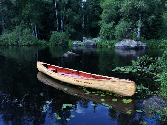 Объявление: Каноэ  из  кедровой сосны продажа и истроительство в Санкт-Петербурге
