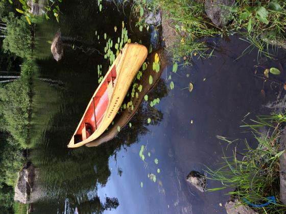 Объявление: Каноэ  из  кедровой сосны продажа и истроительство в Санкт-Петербурге