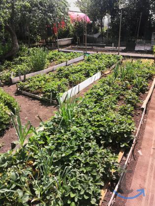 Дача , 10 м2 в Челябинске