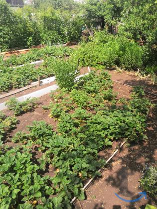 Дача , 10 м2 в Челябинске