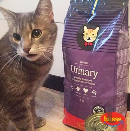 Объявление: Здоровый шведский премиум корм Husse Urinary в Самаре