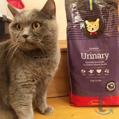 Объявление: Здоровый шведский премиум корм Husse Urinary в Самаре
