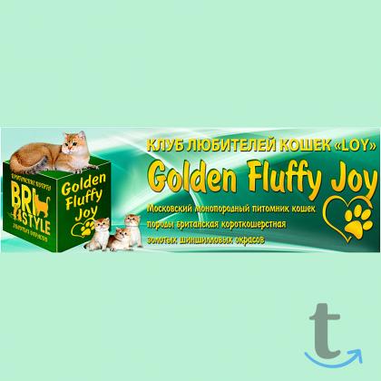 Объявление: Элитные Британские золотые котята редких окрасов в Лобне