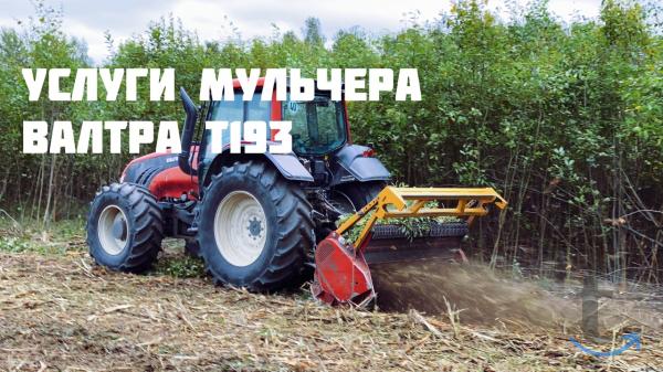 Услуги и аренда мульчера, дробилки веток в Белгороде