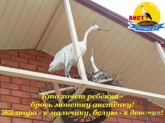 Отдых на море по бюджетным ценам в Саках