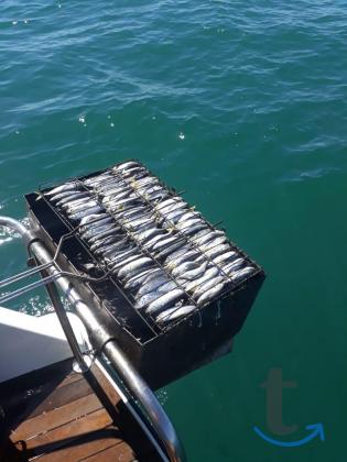 Объявление: Морская рыбалка в Сочи, Лоо, Вардане, Адлере в Сочи