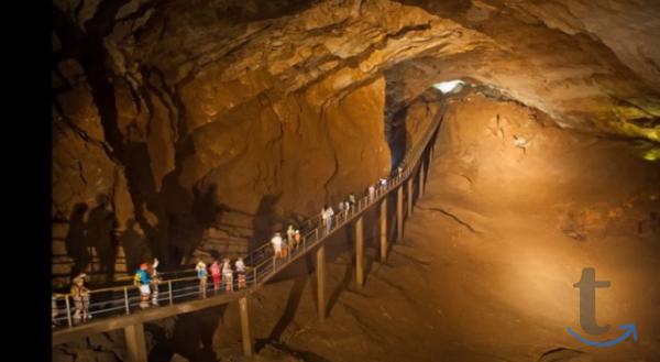 Объявление: Экскурсия из Сочи в Абхазию Золотое Кольцо в Сочи