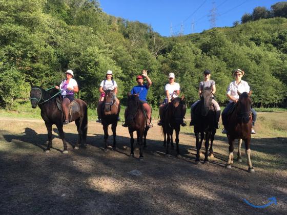 Объявление: Конные прогулки в Сочи, Дагомысе, Лоо, Вардане в Сочи