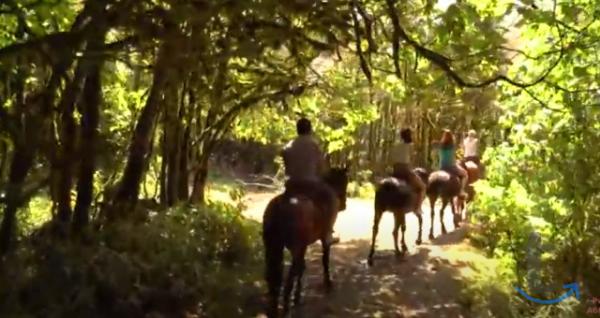 Объявление: Конные прогулки в Сочи, Дагомысе, Лоо, Вардане в Сочи