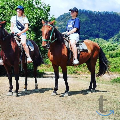 Объявление: Конные прогулки в Сочи, Дагомысе, Лоо, Вардане в Сочи