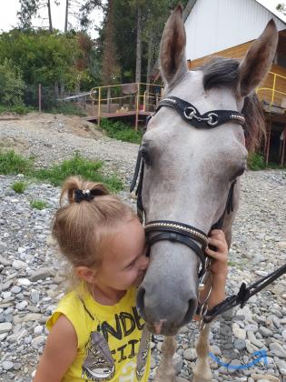 Объявление: Конные прогулки в Сочи, Дагомысе, Лоо, Вардане в Сочи