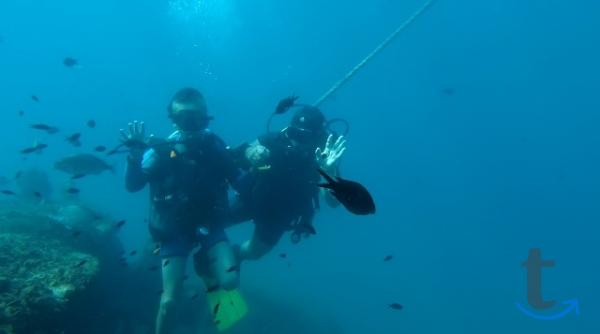 Объявление: Дайвинг в Сочи, Адлере, Лоо, Вардане в Сочи