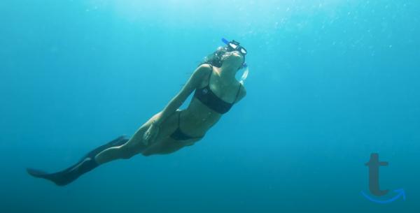 Объявление: Дайвинг в Сочи, Адлере, Лоо, Вардане в Сочи