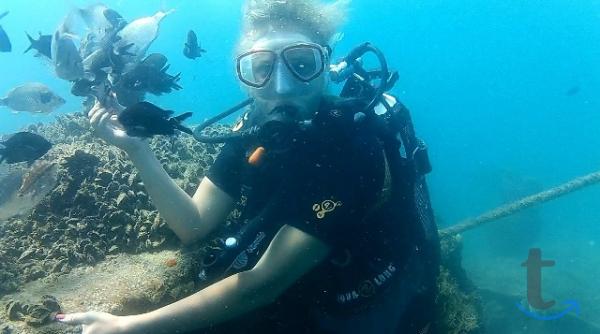 Объявление: Дайвинг в Сочи, Адлере, Лоо, Вардане в Сочи