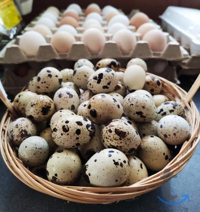 Объявление: Домашние диетические яйца в Сочи