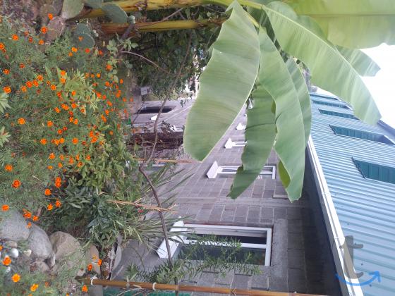 Комната в 7 -к. квартире в аренду, 130 м2, 2 /2 эт. в Сочи