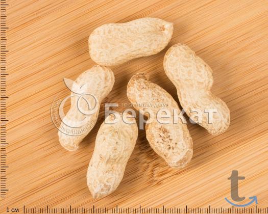 Оптовые поставки сухофруктов, орехов, специй в Самаре