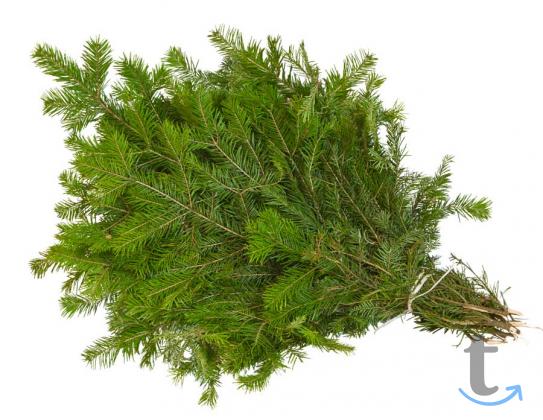 Лапник Пихты Сибирской в Москве