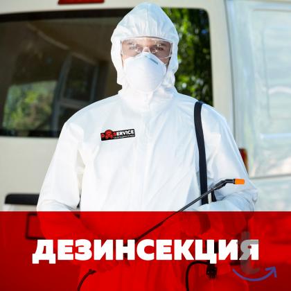 Единая служба дезинсекции, дератизации в Нижнем Тагиле