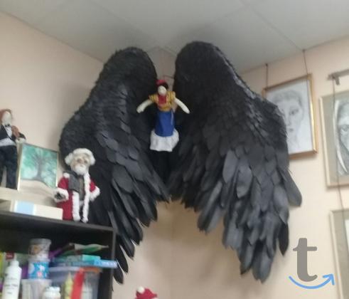 Объявление: САМАРА. Продаю большие черные крылья, в Самаре