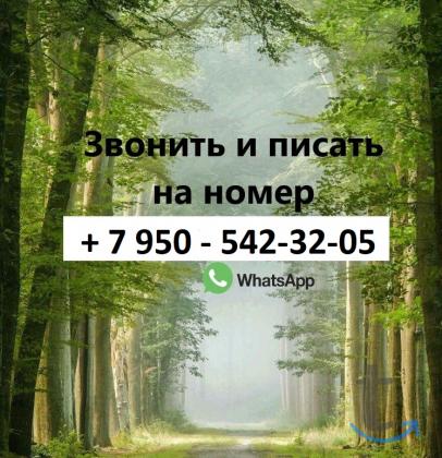 3 -к. квартира в аренду, 65 м2, 2 /5 эт. в Казани