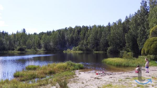 Земельный участок 16 соток ИЖС в поселке Левашово в Левашово