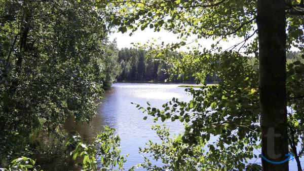 Земельный участок 16 соток ИЖС в поселке Левашово в Левашово