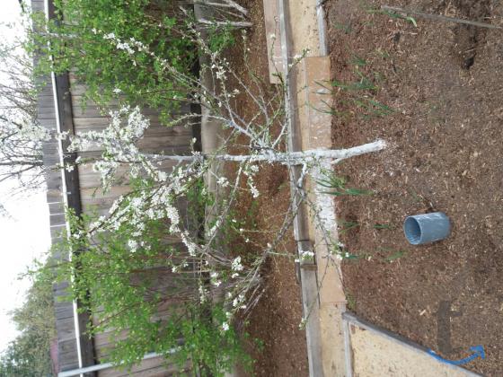 Дача , 20 м2 в Сысерти