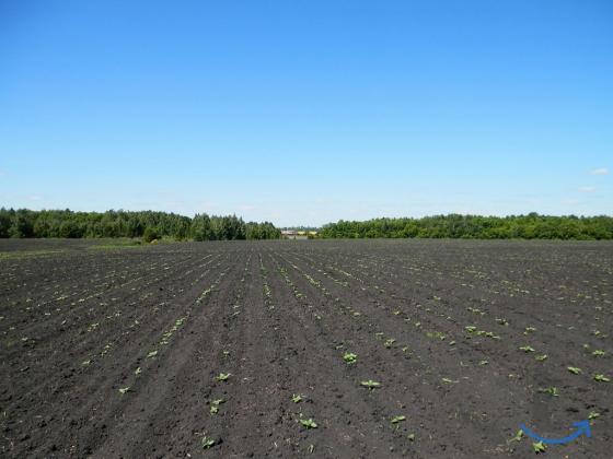 Продам земельный участок 4,6 га. на трассе М-5 Урал в Кузнецке