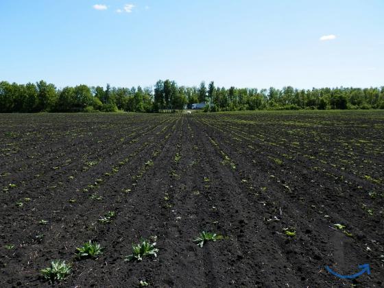 Продам земельный участок 4,6 га. на трассе М-5 Урал в Кузнецке