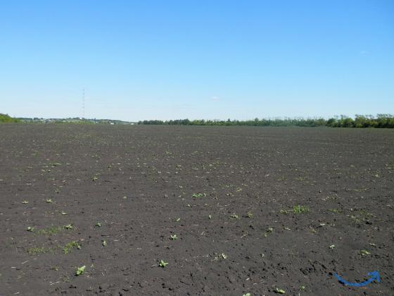 Продам земельный участок 4,6 га. на трассе М-5 Урал в Кузнецке