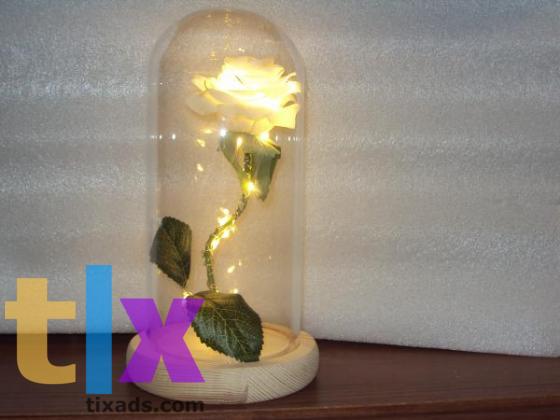 Роза с подсветкой в колбе в Липецке