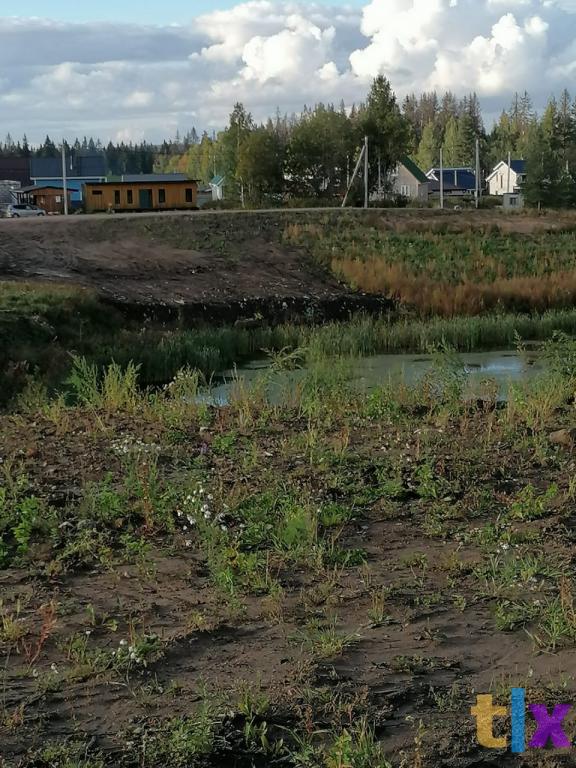 Участок у  водоема Рощинский хутор в Рощино