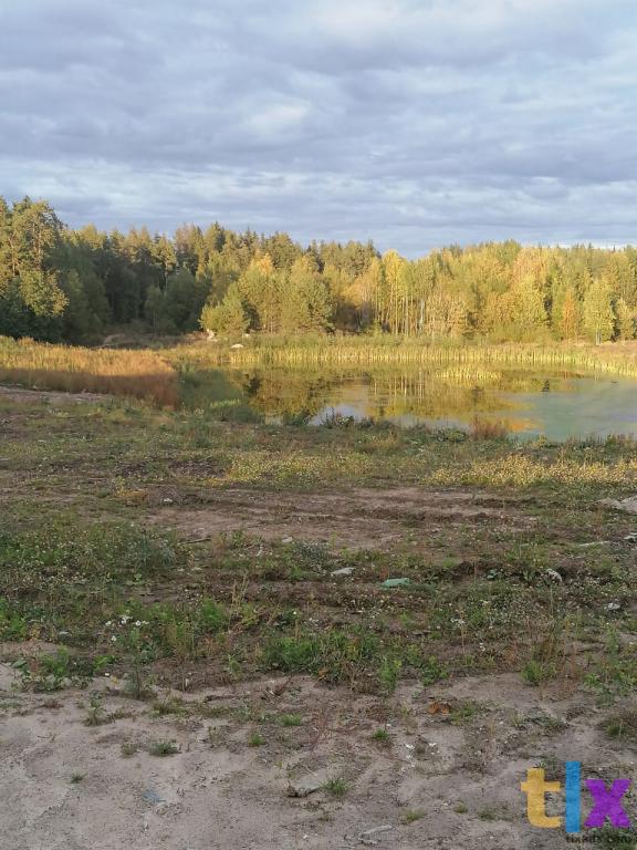 Участок у  водоема Рощинский хутор в Рощино