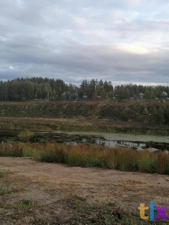 Участок у  водоема Рощинский хутор в Рощино