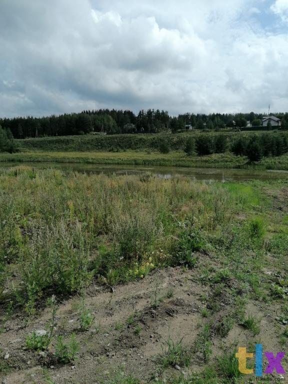 Участок у  водоема Рощинский хутор в Рощино