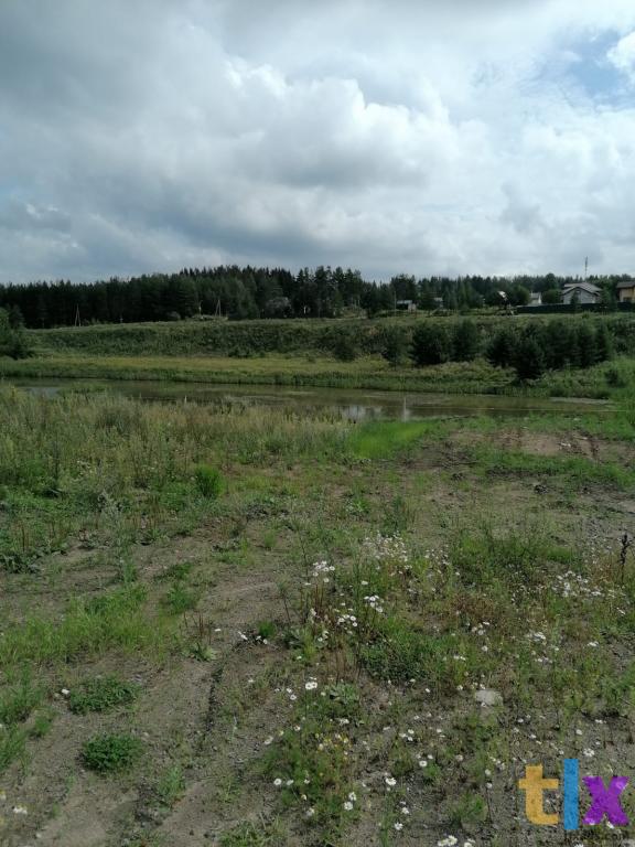 Участок у  водоема Рощинский хутор в Рощино