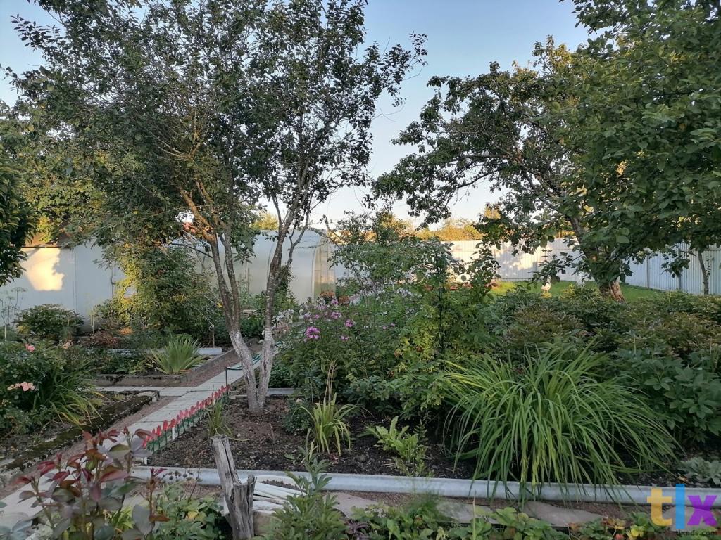 Дача , 35 м2 на участке 7 сот. в Выборге