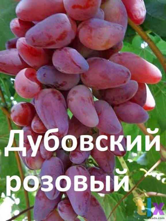 Екатеринбург в Санкт-Петербурге